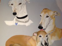 /album/galerie-photos/photo-1111-jpg/